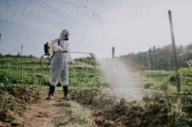 Best Pest Prevention Services  in Belvedere, CA