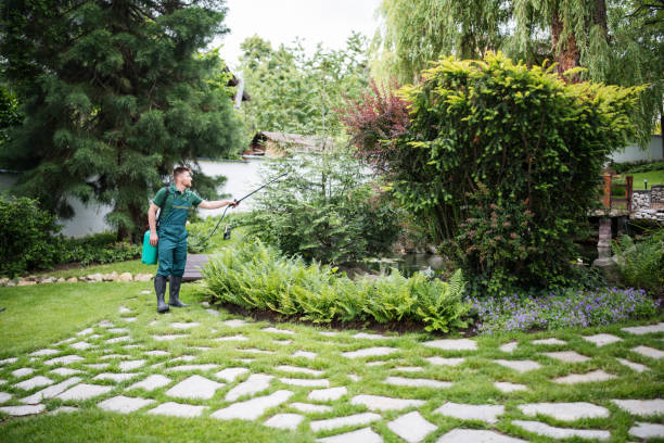 Best Pest Inspection Near Me  in Belvedere, CA