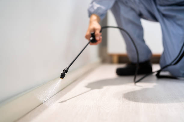 Best Pest Control for Businesses  in Belvedere, CA
