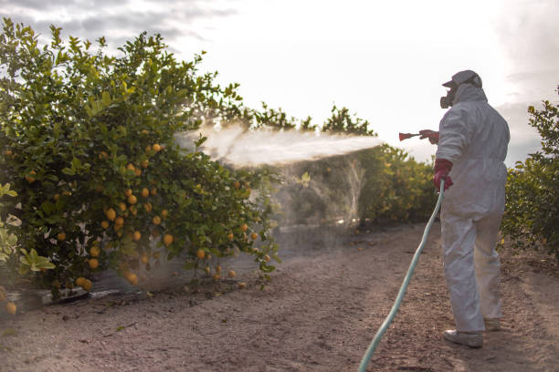 Best Flea Control Services  in Belvedere, CA