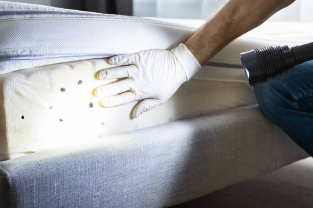 Best Best Pest Control Companies  in Belvedere, CA