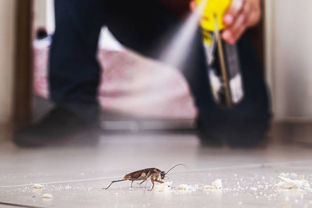 Best Cockroach Control Services  in Belvedere, CA
