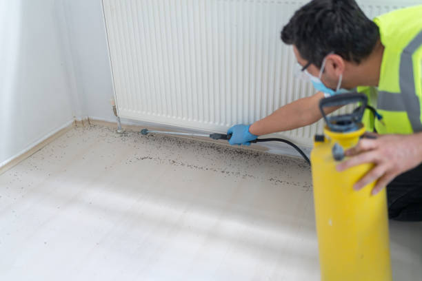 Best Residential Pest Control  in Belvedere, CA