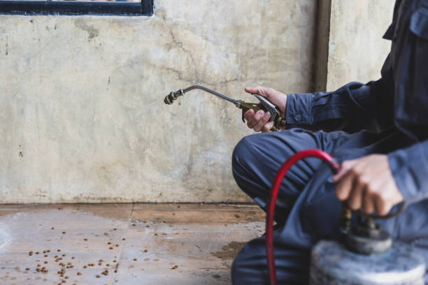 Pest Control for Restaurants in Belvedere, CA